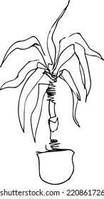 black and white sketch of a palm tree in a flowerpot bedroom 