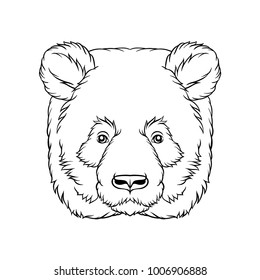 Black and white sketch of panda bears head, face of wild animal hand drawn vector Illustration