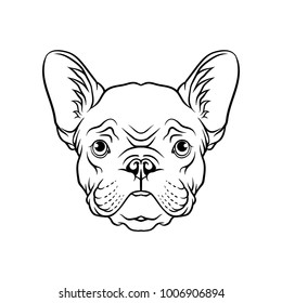 Black and white sketch of pug dogs head, face of pet animal hand drawn vector Illustration