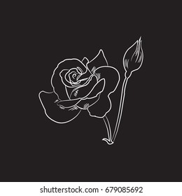 Black and white sketch of rose flower black and white, vector illustration