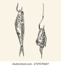 Un boceto en blanco y negro muestra dos peces en anzuelos de pesca, uno entero y uno sin cabeza, sobre un fondo crema.