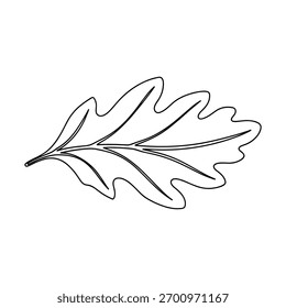 Un boceto en blanco y negro de una sola hoja de roble con líneas texturizadas.