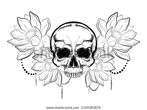 Black White Sketch Tattoo Sketch Skull Signs Symbols Stock Image