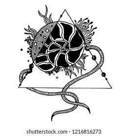 Black and White sketch of tattoo. Vector illustration. Sea shell with seaweed. Ink sketch of ancient shell in the triangle design. Coloring.