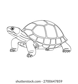 A black and white sketch of a tortoise, showcasing its shell and limbs.