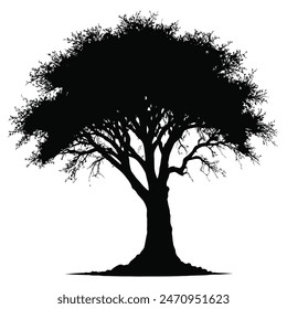 BLACK AND WHITE SKETCH OF TREE WITH MANY BRANCHES