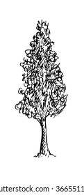 Black and white sketch of a tree. Vector illustration