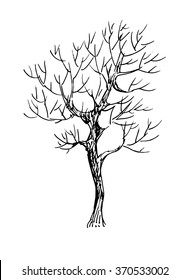 Black and white sketch of a tree. Vector illustration