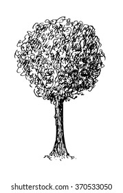 Black and white sketch of a tree. Vector illustration