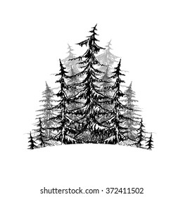 Black and white sketch of trees. Vector element for logos, infographics, brochures and your design.
