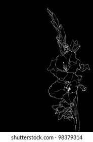 black and white sketches of flowers