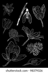 black and white sketches of flowers