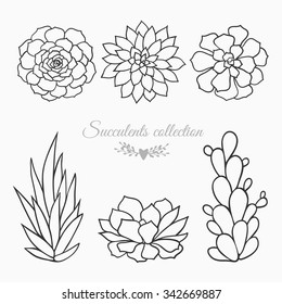 black and white sketches of succulents, vector illustration isolated on white