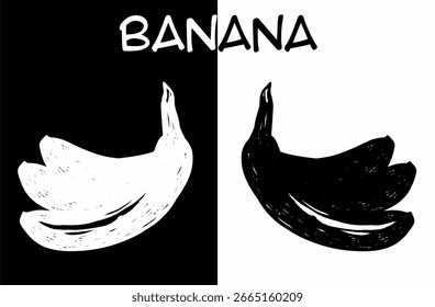 Schwarz-weiße Skizze, Vektorgrafik von Bananen, aufgeteilt in zwei Hälften mit dunklem Hintergrund links und hellem Hintergrund rechts, mit dem Text "BANANA" oben