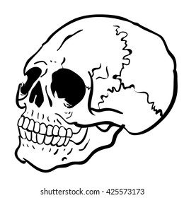 black and white skull cartoon illustration