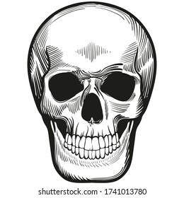 Black and white skull. Ink drawing. Social Media Avatar.