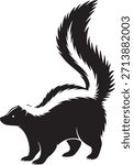 Black and white of a skunk standing with raised tail and visible stripes