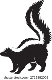 Black and white of a skunk standing with raised tail and visible stripes