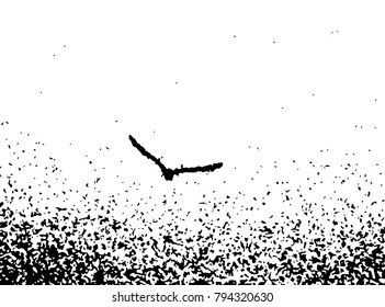 Black and white sky and crow grunge texture. Vector abstract vintage pattern. Monochrome background with noise and grain. Banner template.