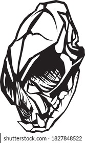 Black and white small animal skull.