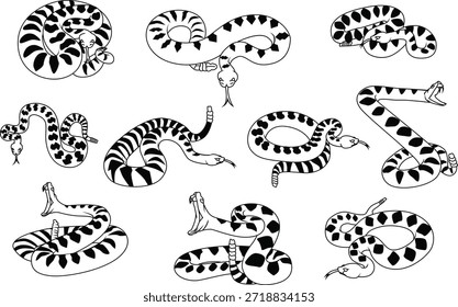 Schwarz-Weiß-Snake-Illustrationssatz mit dekorativen Mustern