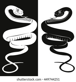 black and white snake. Naja or cobra, vintage engraved illustration.