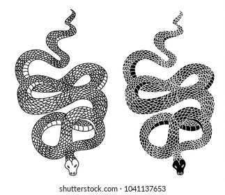 black and white snake vector.Lampropeltis triangulum vector.Sticker and hand drawn snake for tattoo.Red snake Reptile on white background.