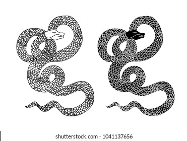 black and white snake vector.Lampropeltis triangulum vector.Sticker and hand drawn snake for tattoo.Red snake Reptile on white background.