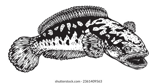 Black white Snakehead fish channa. Image for logo, sticker or shirt design, illustration vector cartoon EPS10.