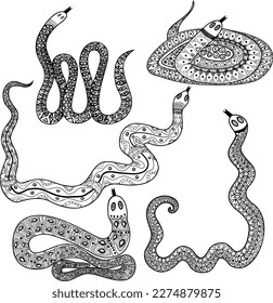 black and white snakes on a transparent background in the style of boho and scandi	
