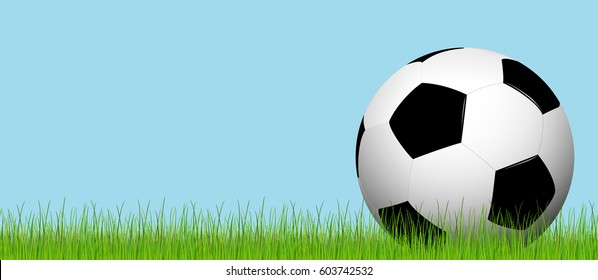 black and white soccer ball lying on the grass with blue sky