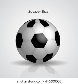 Black and White Soccer Ball vector 