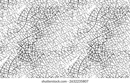 Sobreposição de ruído Grunge manchado preto e branco