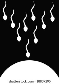 black and white sperm