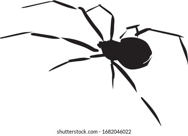 Black and white spider pictogram. An element for a website, poster, tattoo. illustration or postcard. Calligraphic logo. EPS 10. Sticker. Isolated outline. Coloring book set

