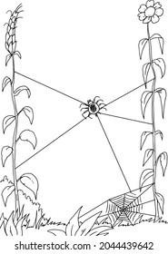 Black and white spider and  web. 