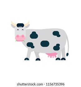 Black white spotted cow stand and chew grass with its mouth flat style vector illustration isolated on white background. Symbol of the milk producing