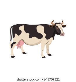 Black and white spotted cow. Vector illustration on the white background