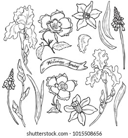 Black and white spring flower collection in vector