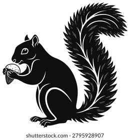 Black and white squirrel eating an acorn with animal kingdom squirrel wildlife