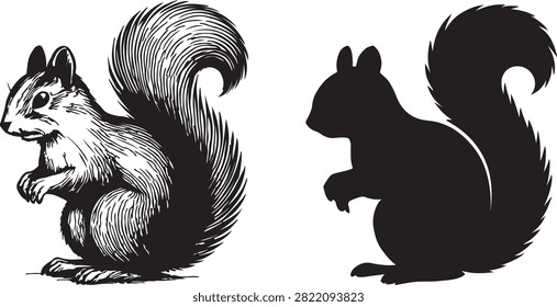 black and white squirrel and silhouette vector