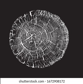 Black and white stamp of wood texture of tree rings from a slice of log. Contrast negative monotone image of cut tree.
