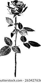 Rosa em estilo carimbo preto e branco com haste e folhas — uma ilustração floral vintage com detalhes finos de tinta. O estilo se assemelha a um vintage ou aparência de carimbo, com linhas finas criando textura 