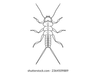 Black and White Stonefly Nymph Insect Clipart Vector isolated on White Background. Coloring Page of a Stonefly Nymph Insect