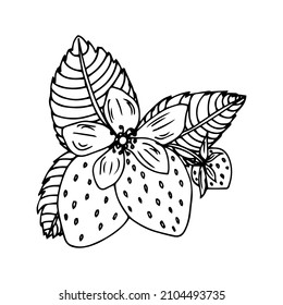 black and white strawberry cartoon