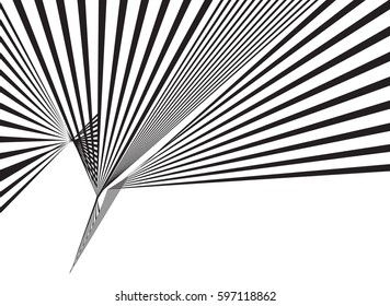 black and white stripe line pattern abstract graphic