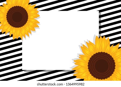 black and white striped card with sunflowers vector illustration EPS10