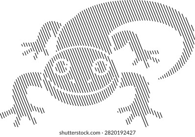 Black and white striped lizard reptile animal