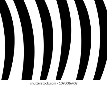 Black and white stripes background with a zebra color vector illustration