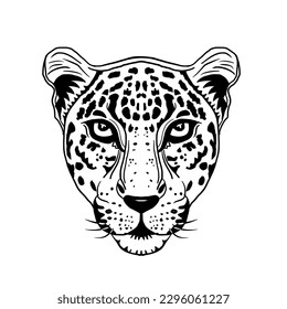 Black and white stripes on the straight face of a leopard.vector illustration isolated on white background.Cute design for t shirt print, icon, logo, label, patch or sticker.